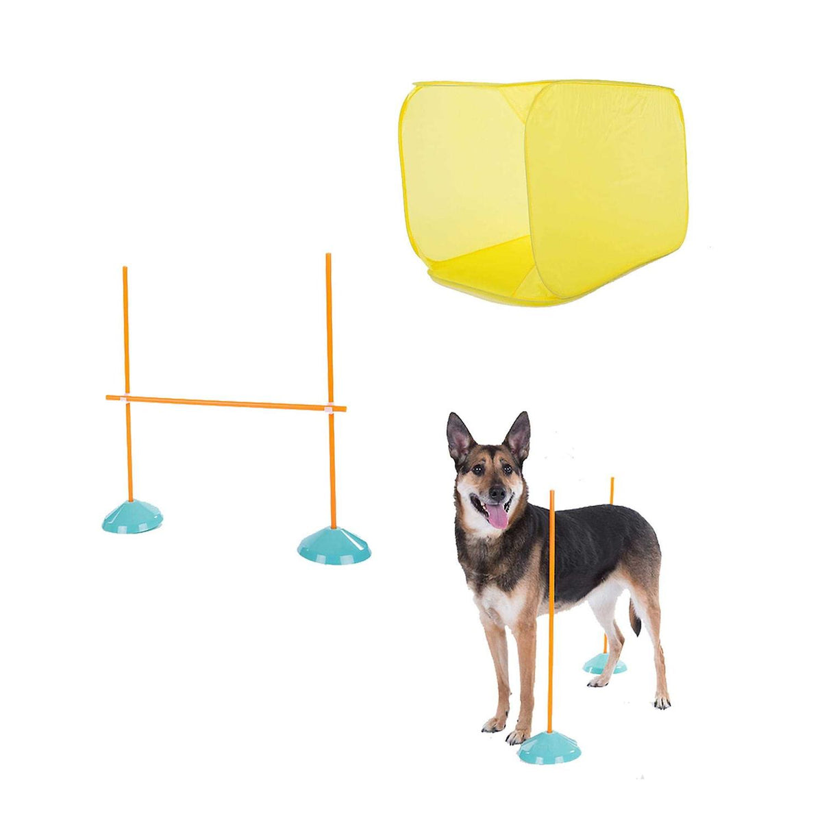 Indoor Dog Agility Kit Q62745