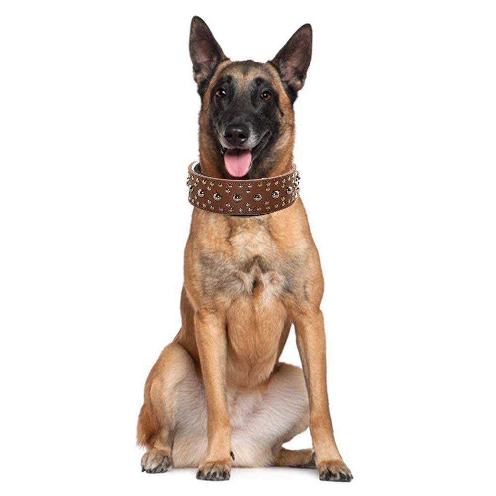 Leather Spiked Studded Dog Collar C637