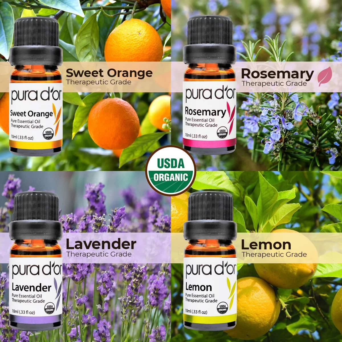 Essential Oil Wood Box Gift Set 10mL x16 P826844
