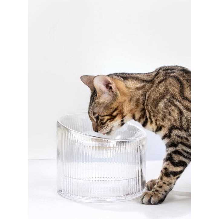 Handmade Glass Cat Bowl J590096