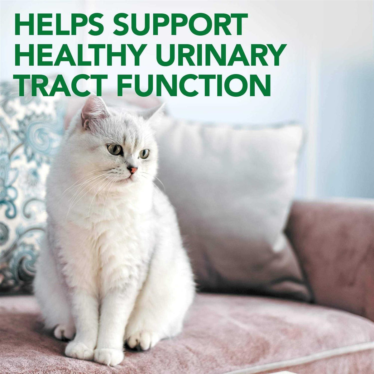 Urinary Tract Support A98770