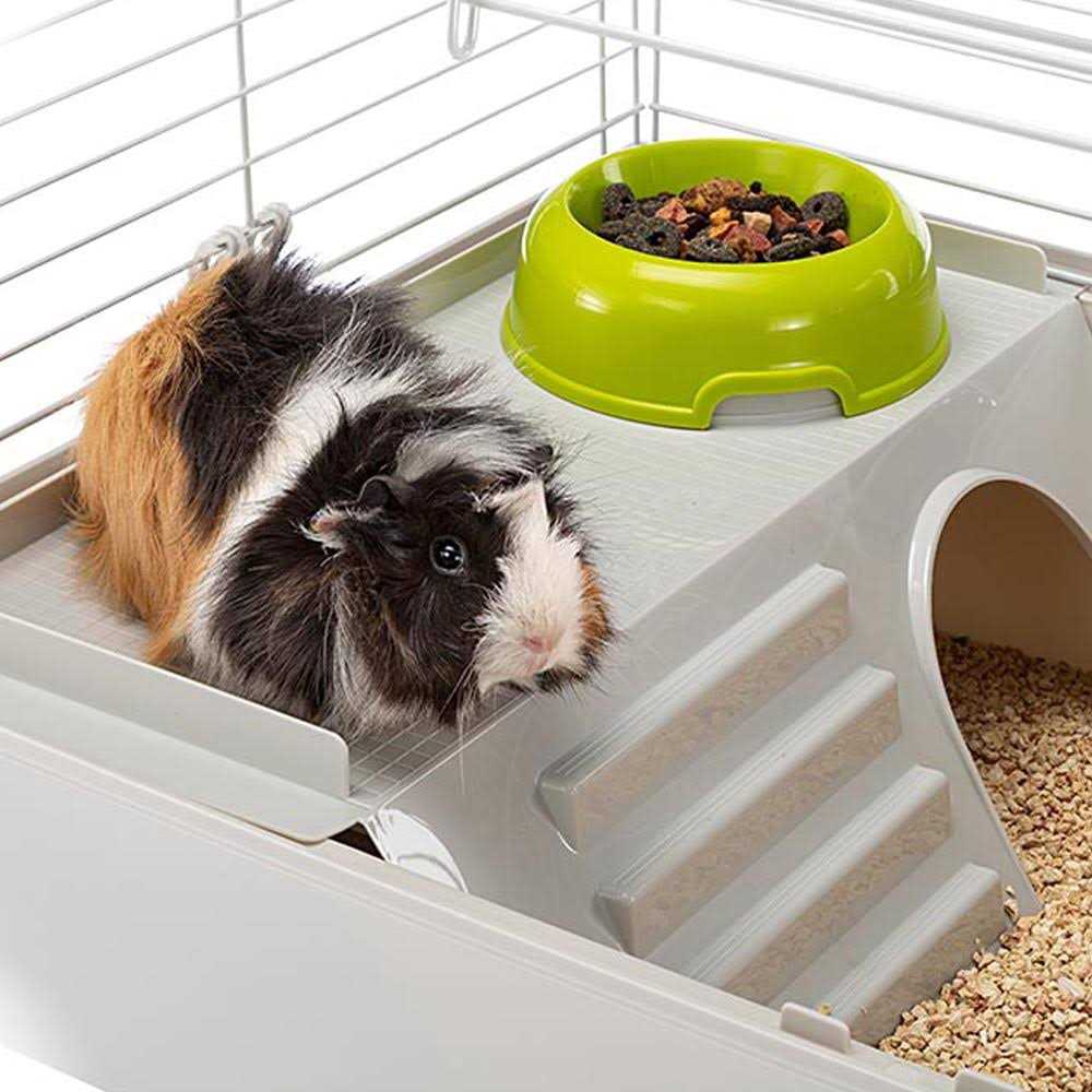 Guinea Pig Cage Y3613