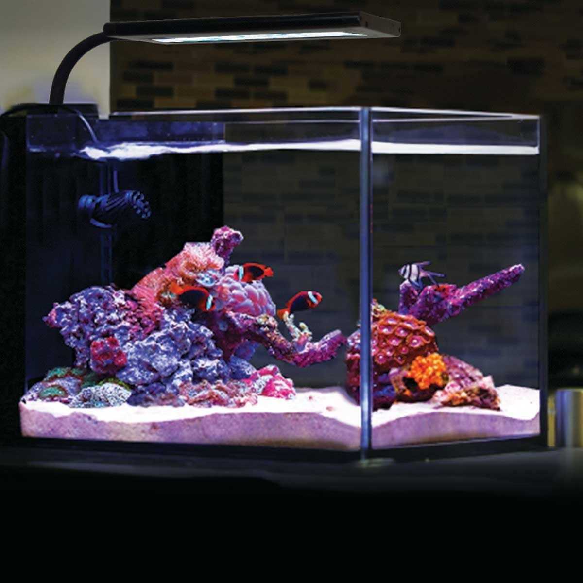 Orbit Marine NANO LED Light with Gooseneck Mount & Dynamic Controller O2081