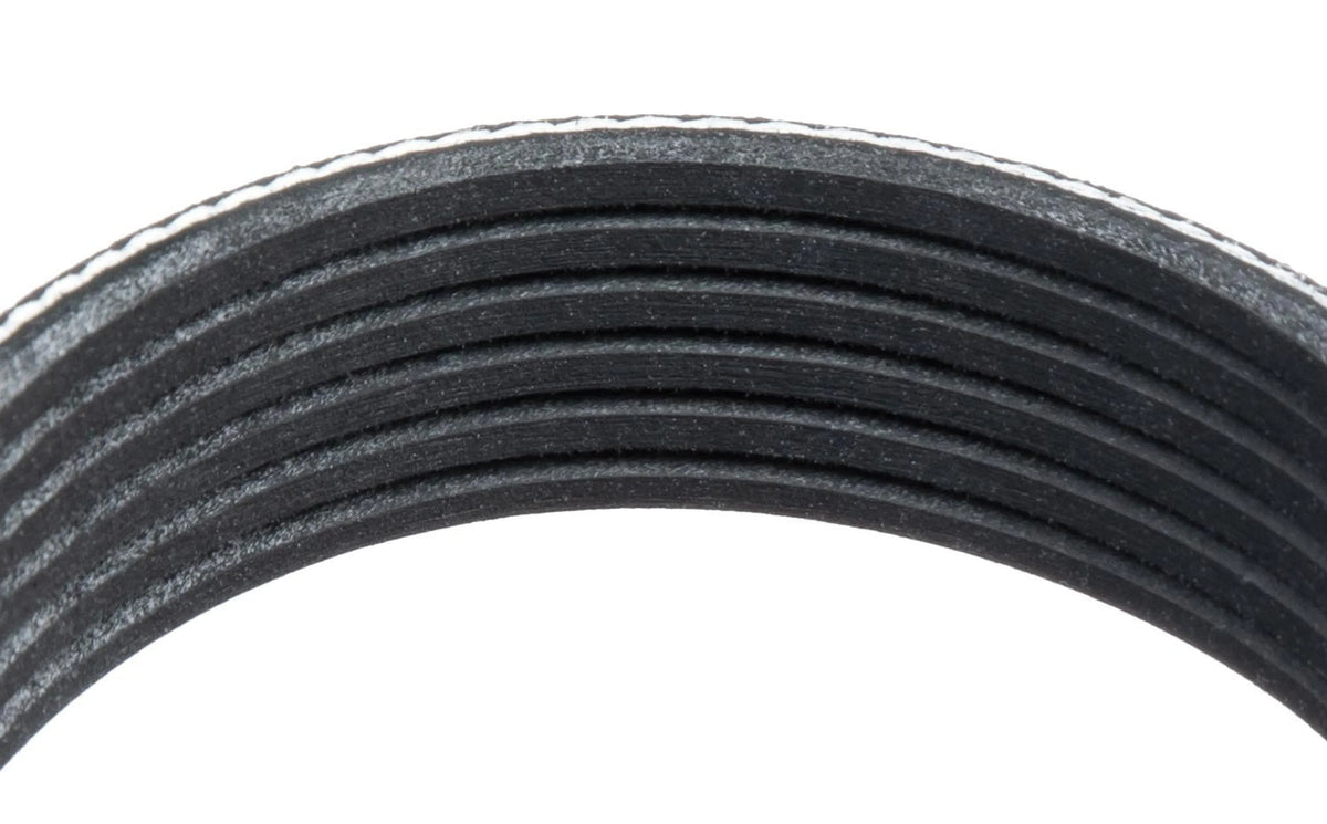 Serpentine Belt, 6-Rib 83" Length H73601