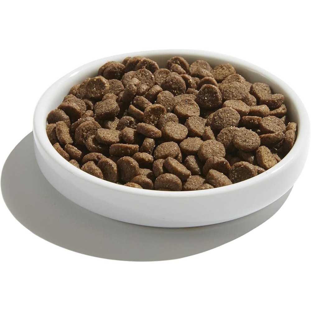 Cage-Free Turkey & Pumpkin Recipe Dry Cat Food C224