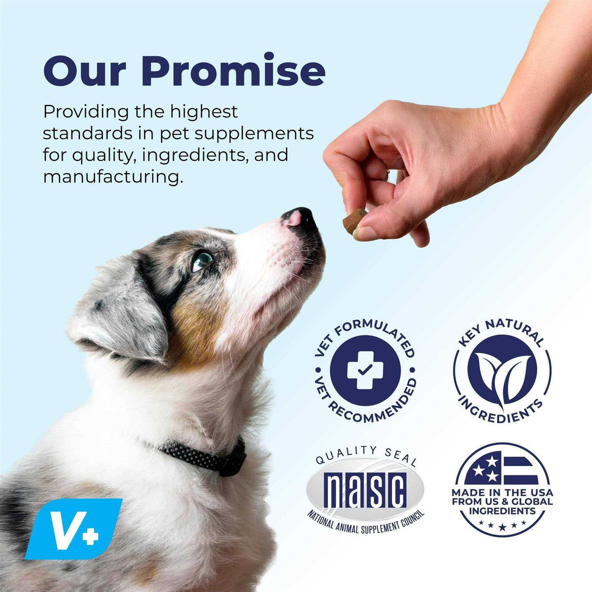 Supplement for Senior Dogs R8171