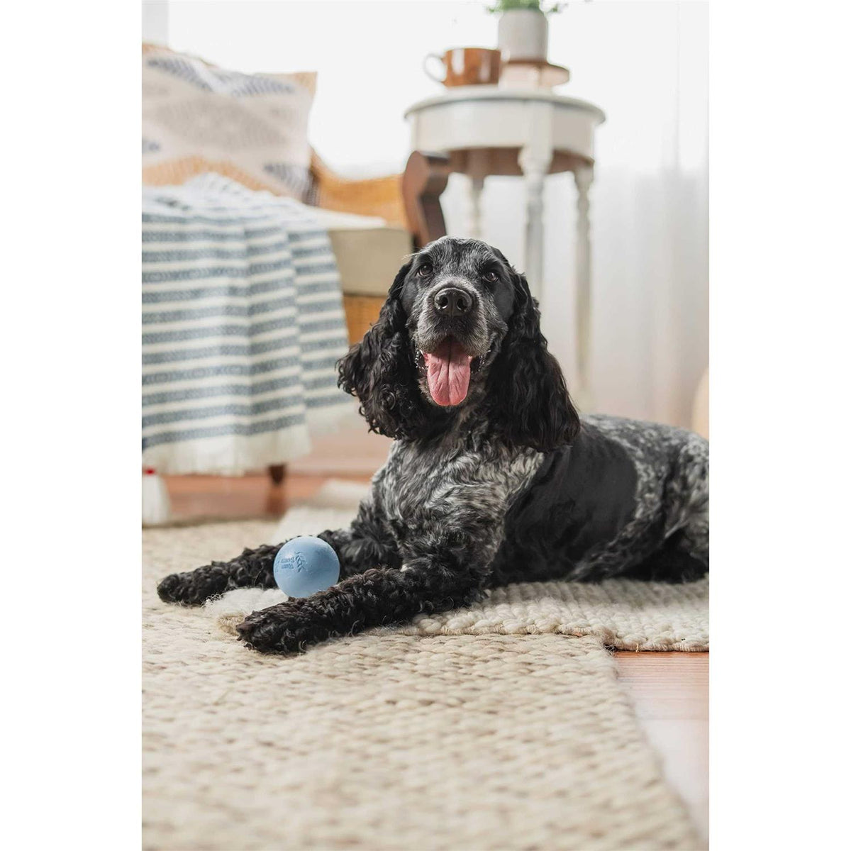 Rubber Balls and Chew Stick S84462