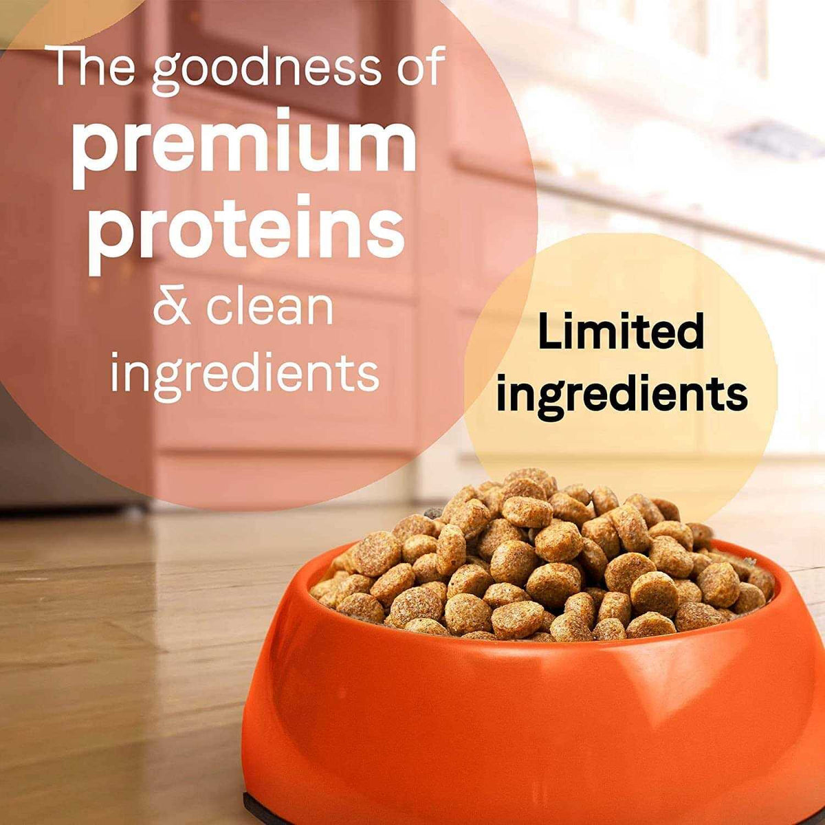 Grain-Free Lamb Dry Dog Food S4197