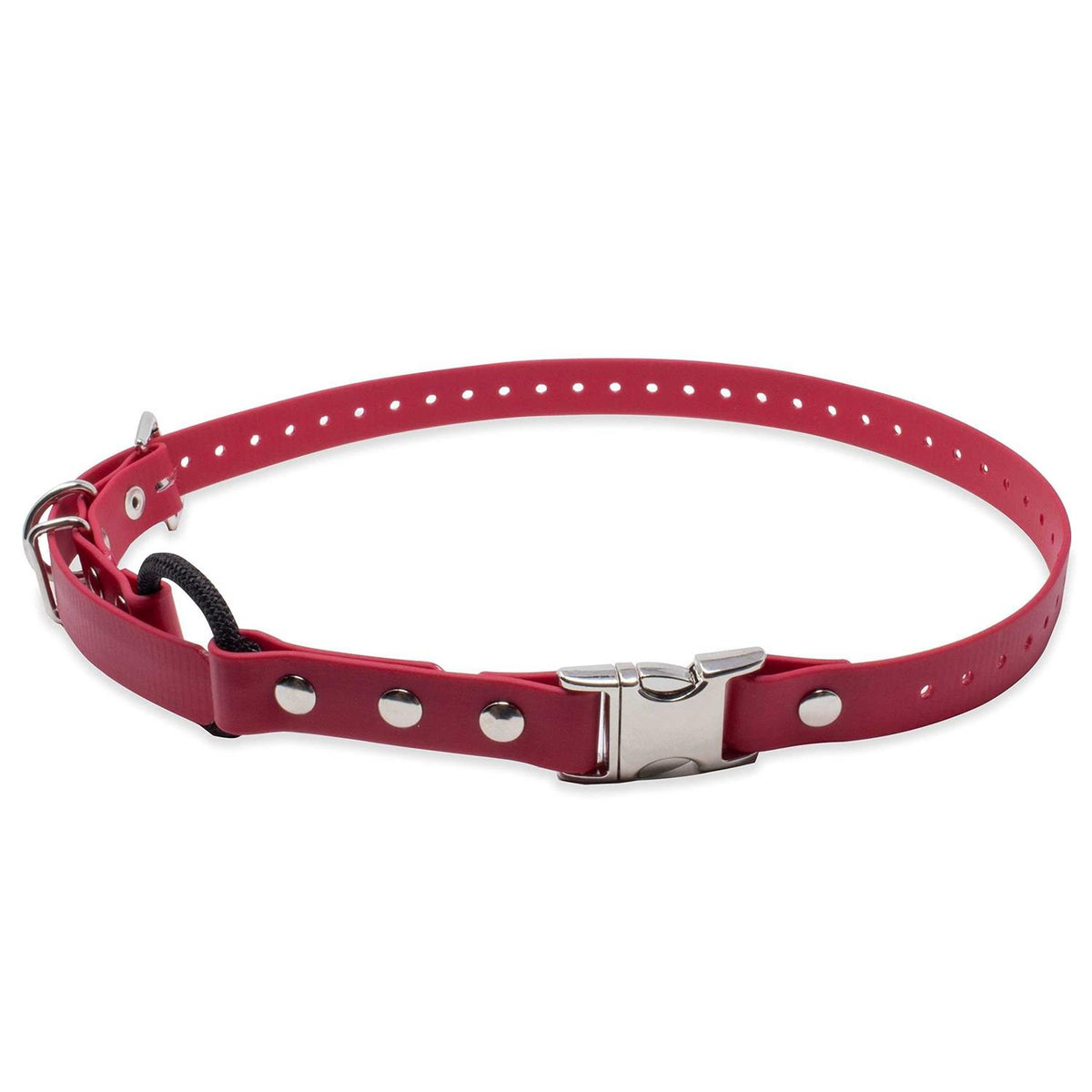 Bungee Collar K485