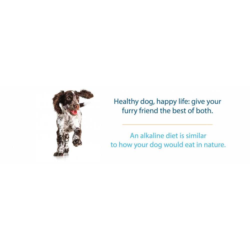 Grain-Free Dry Dog Food K299