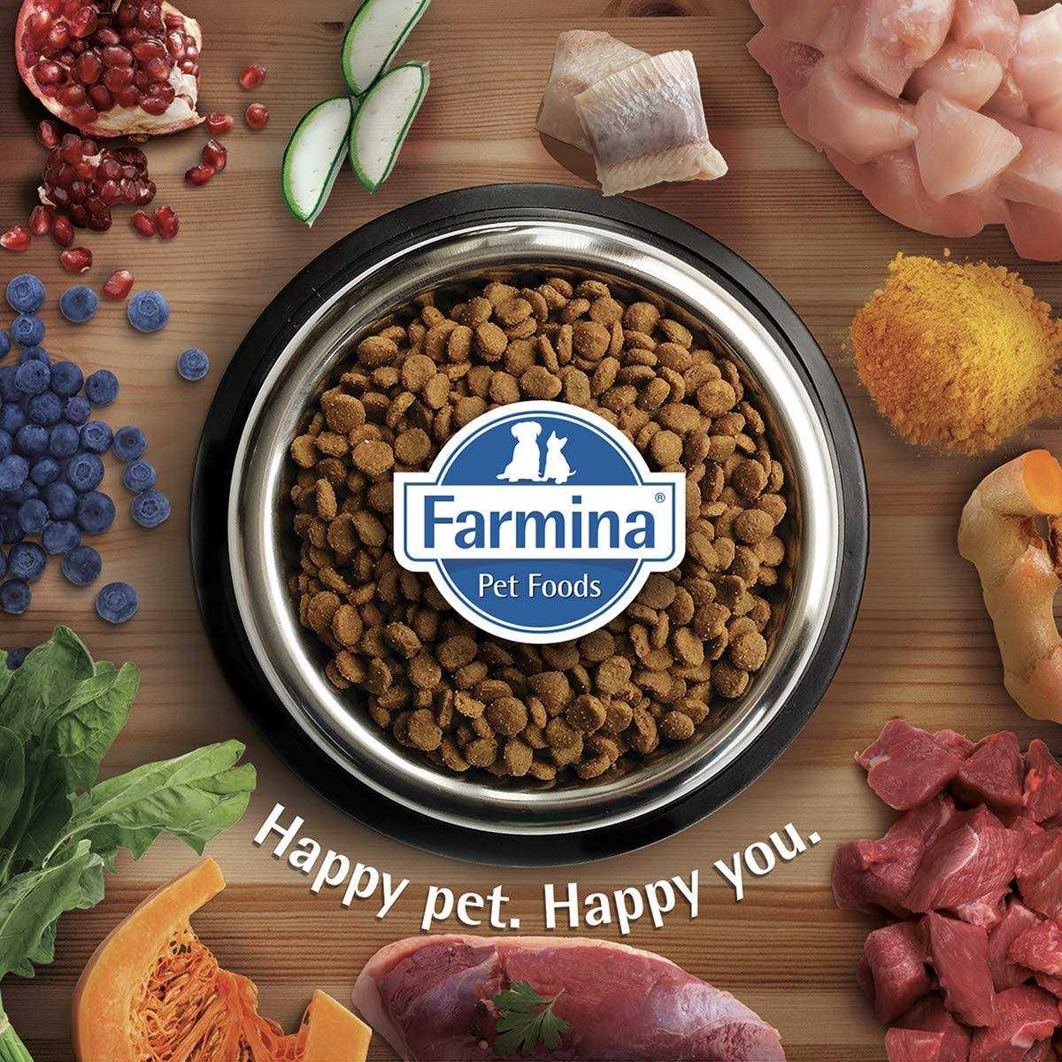 Pumpkin Boar & Apple Adult Dog Dry Food J1853
