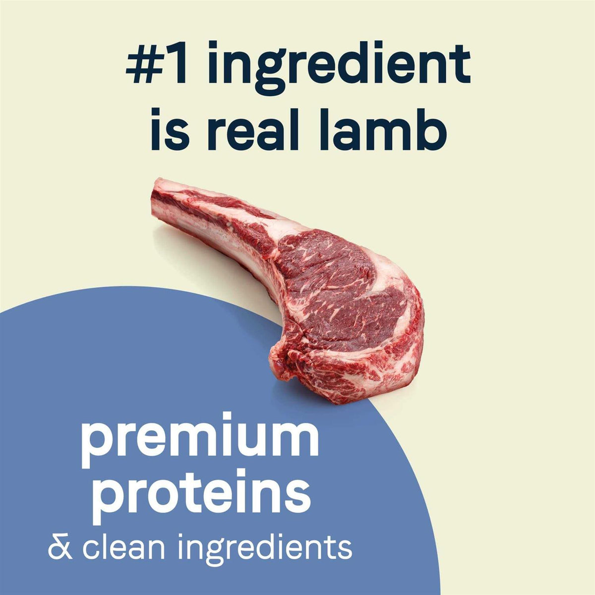 Grain-Free Lamb Dry Dog Food S4197