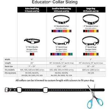 Bungee Collar K485