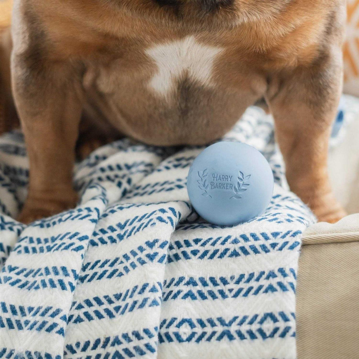 Rubber Balls and Chew Stick S84462