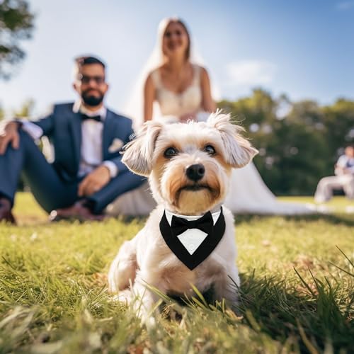 2 Pack Adjustable Red Plaid Dog Bandana with Bow Tie Z3714