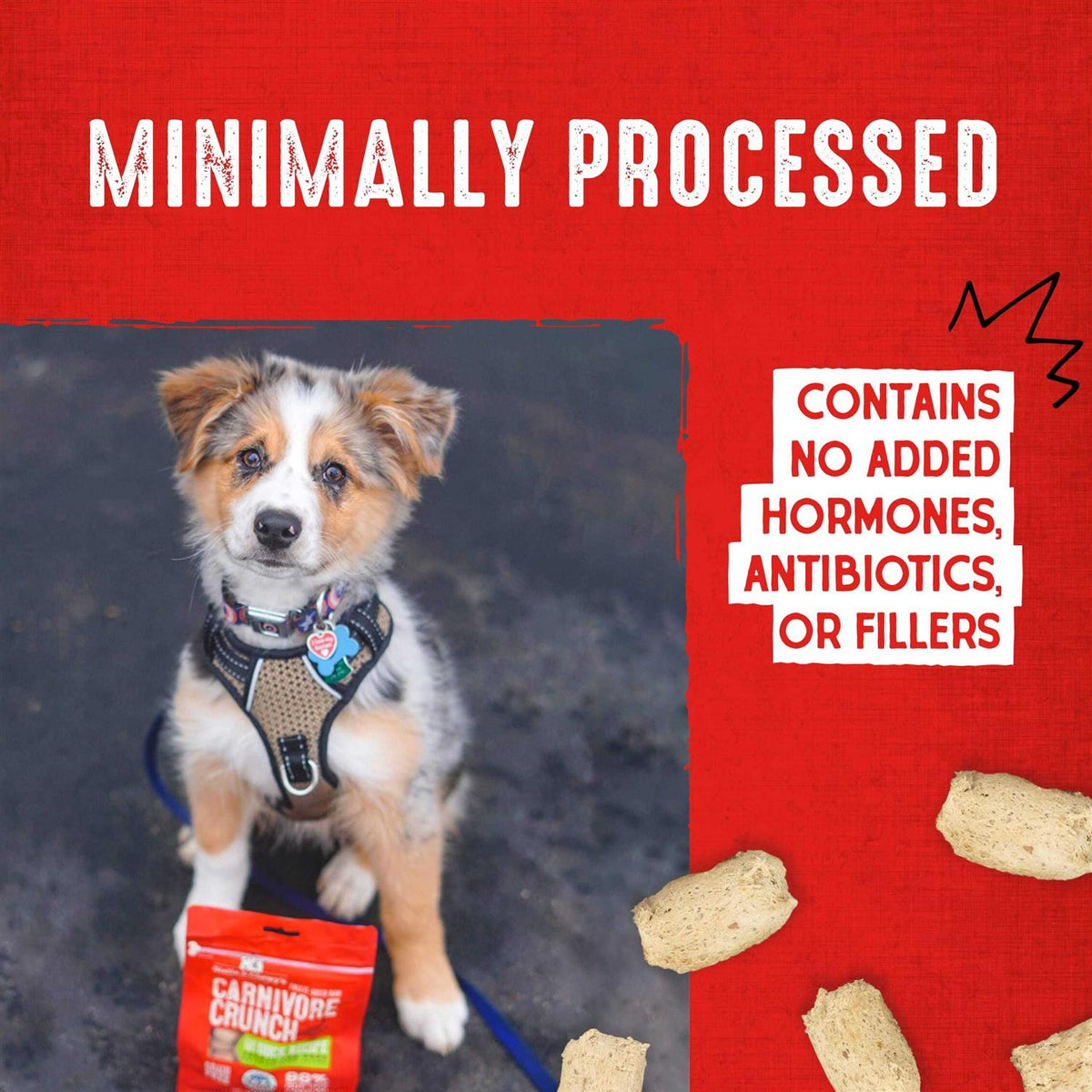 Chicken Dog Treats F623