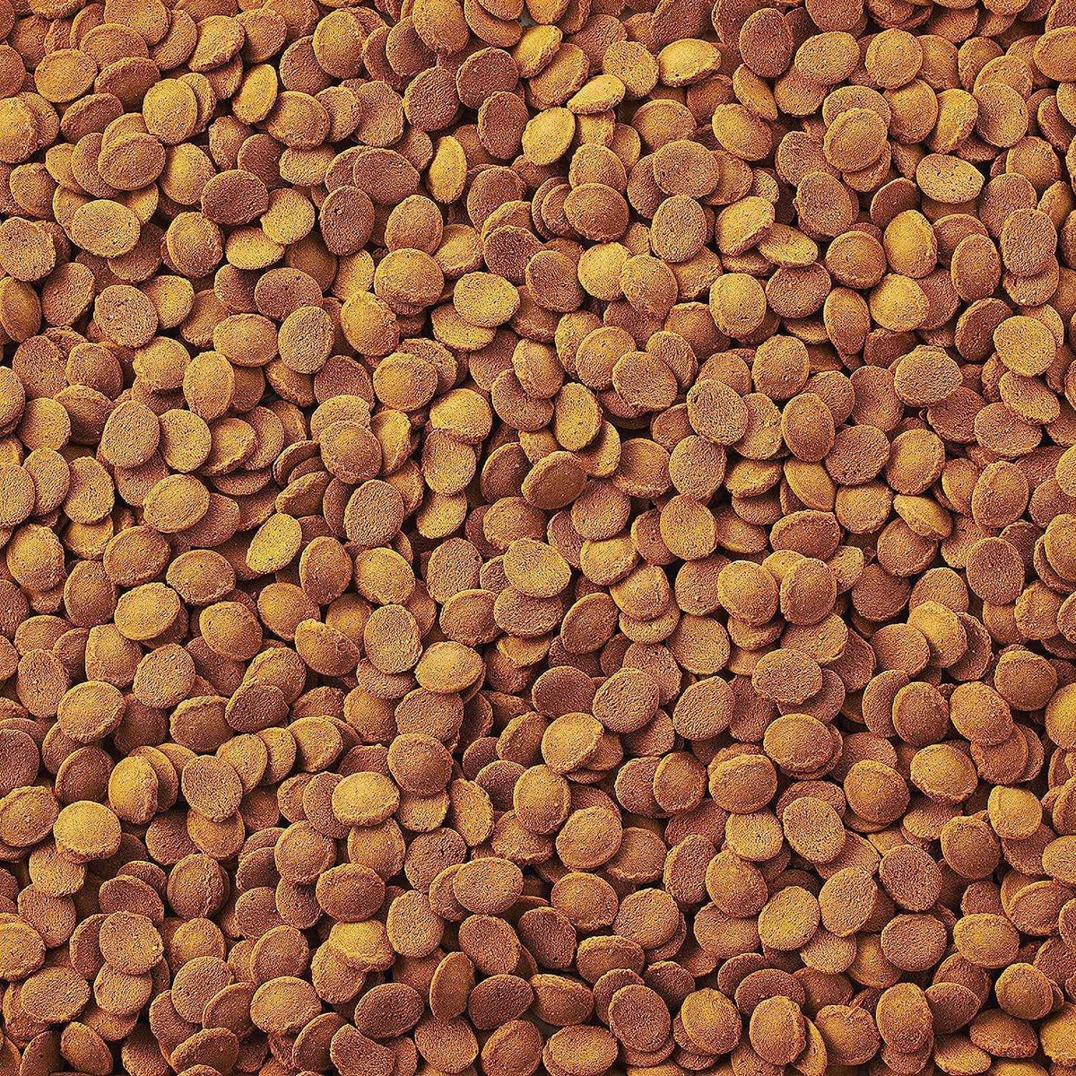 Fish Food T396