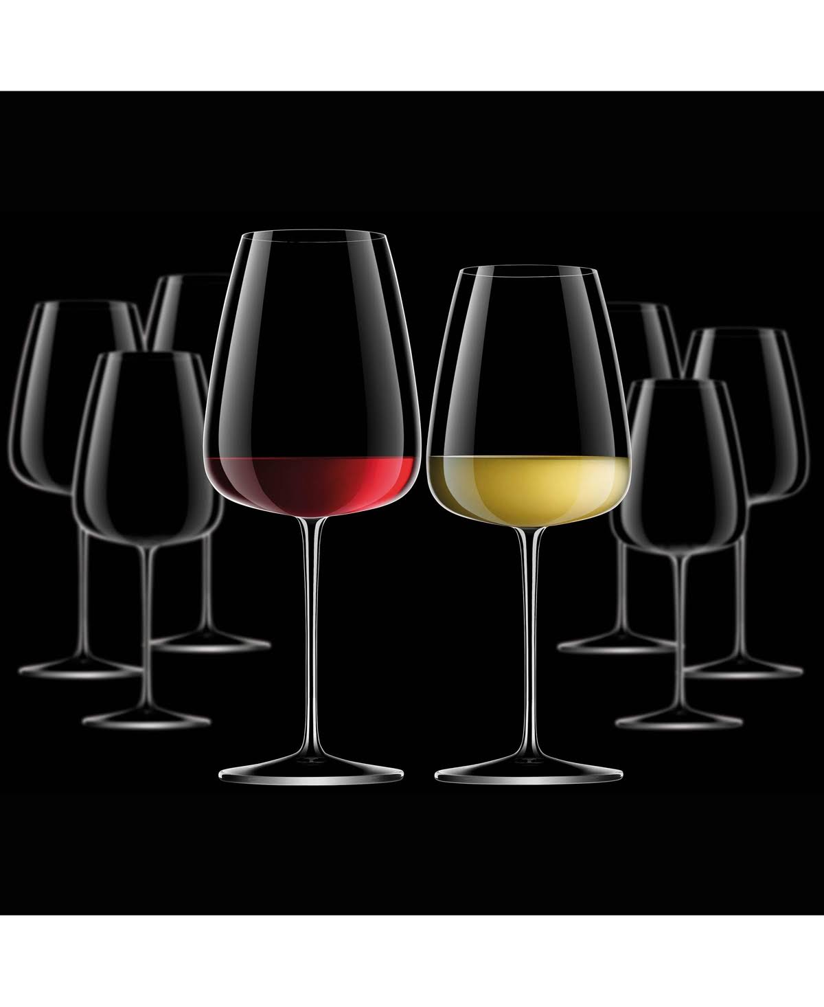 Clear Wine Glasses Set of 8 G29421