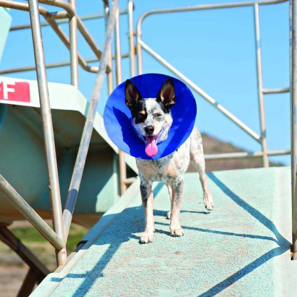 Soft E-Collar X7140