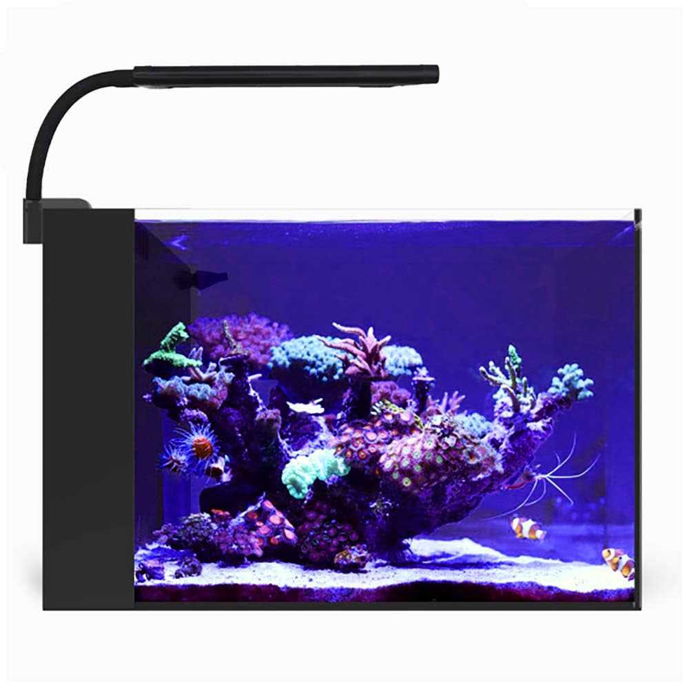 Orbit Marine NANO LED Light with Gooseneck Mount & Dynamic Controller O2081