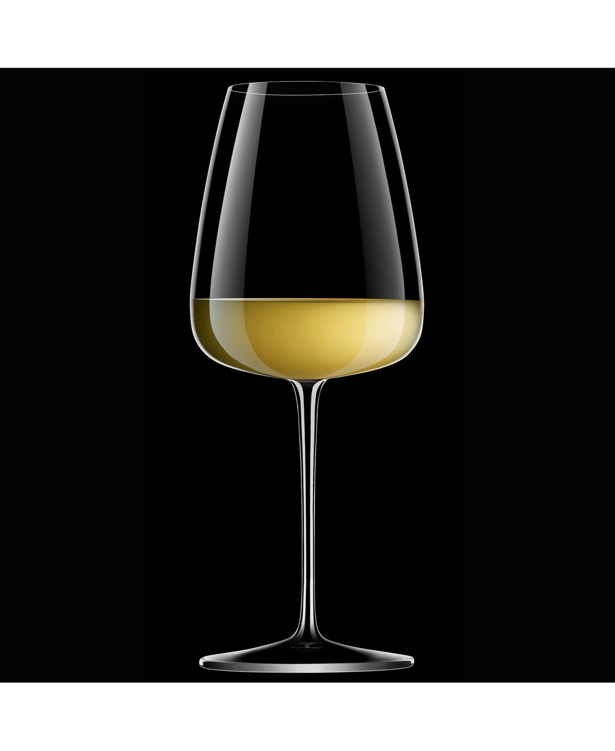 Clear Wine Glasses Set of 8 G29421