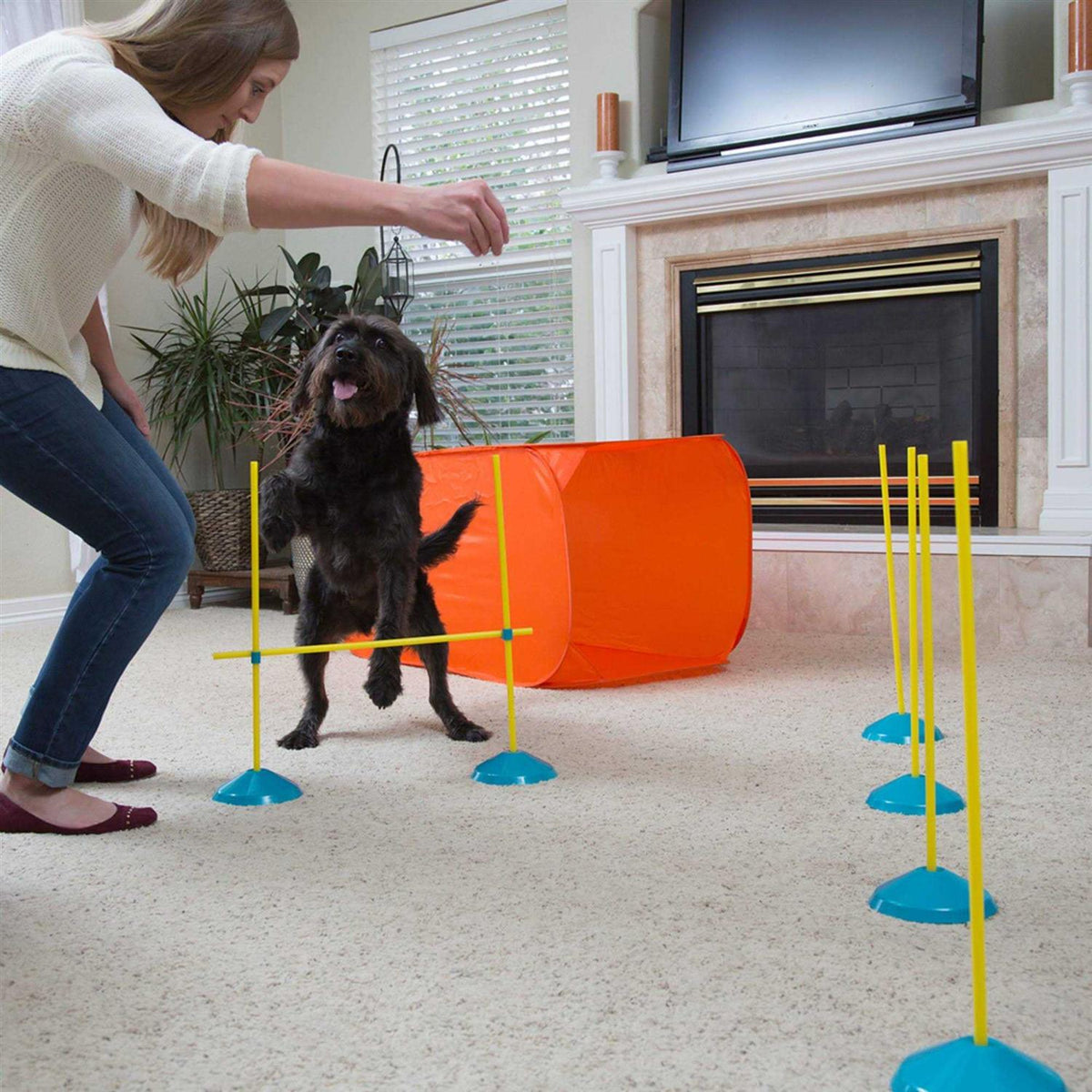 Indoor Dog Agility Kit Q62745