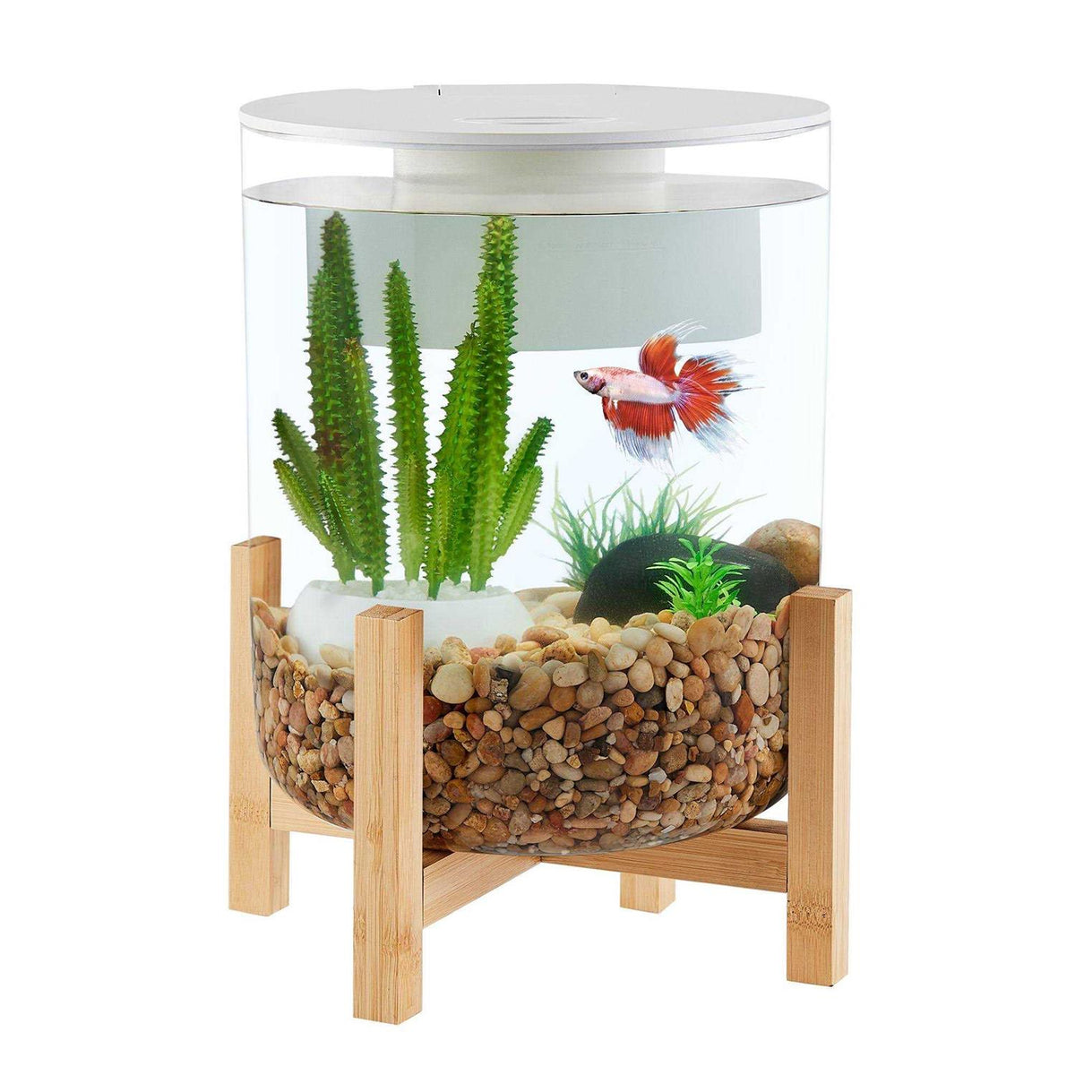 Bamboo Baseal Aquarium G116