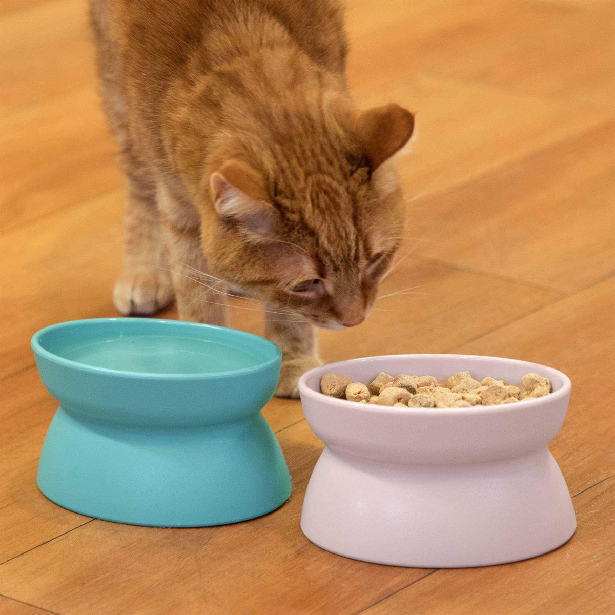Raised Cat Food Bowl and Waterer P7469