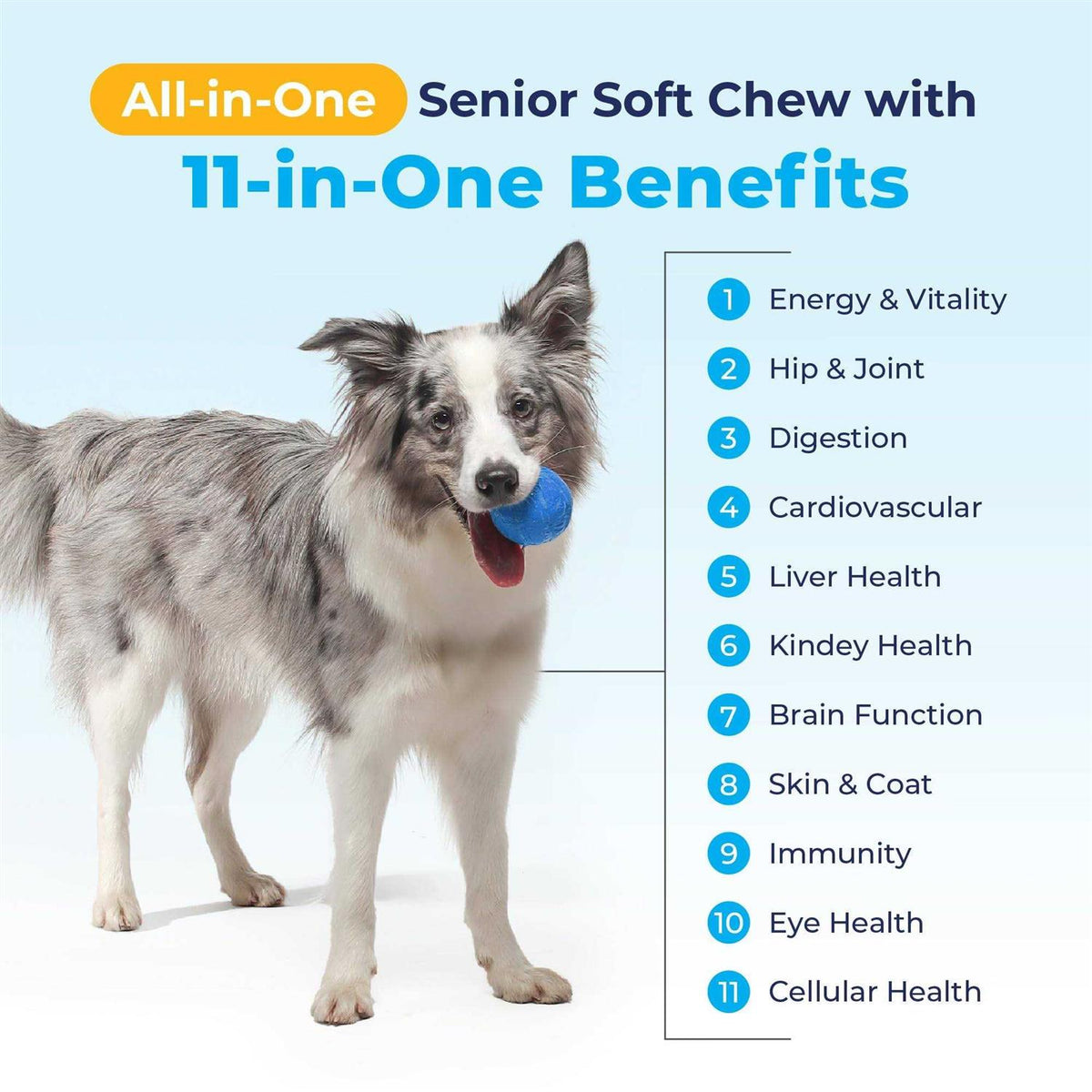 Supplement for Senior Dogs R8171