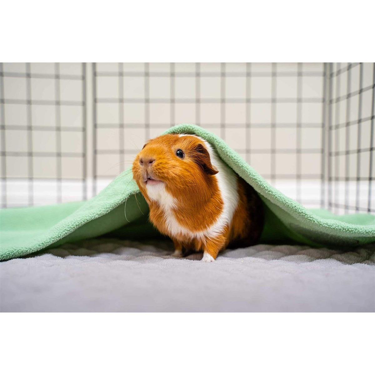 Guinea Pig Fleece Cage Liner Bedding X949937