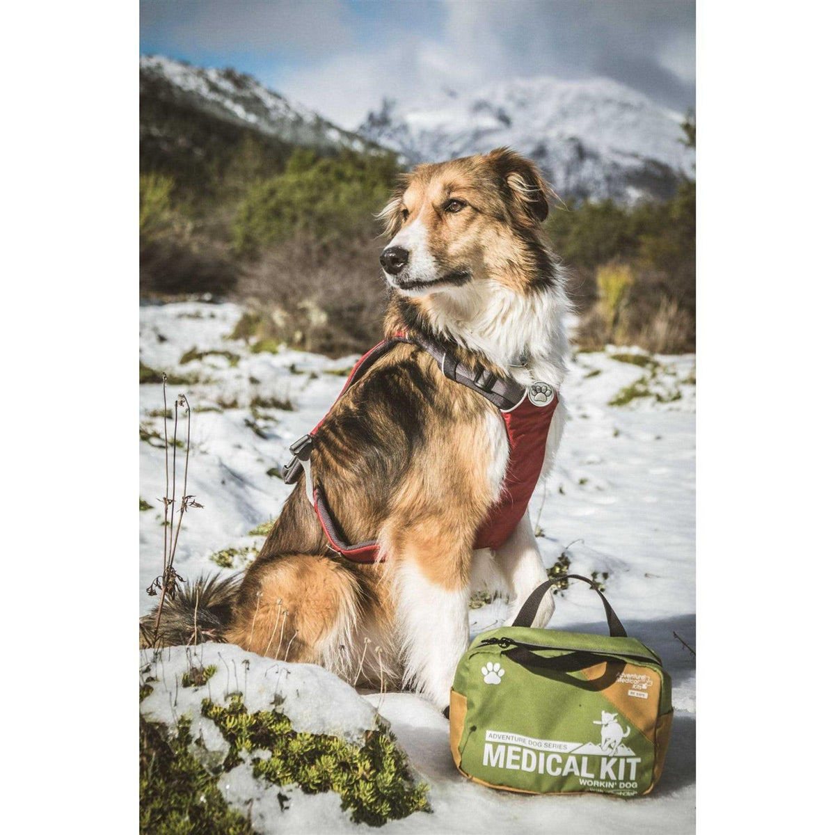 Dog First Aid Kit J571