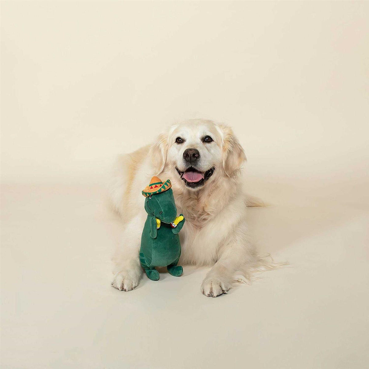 Dog Toy O350791