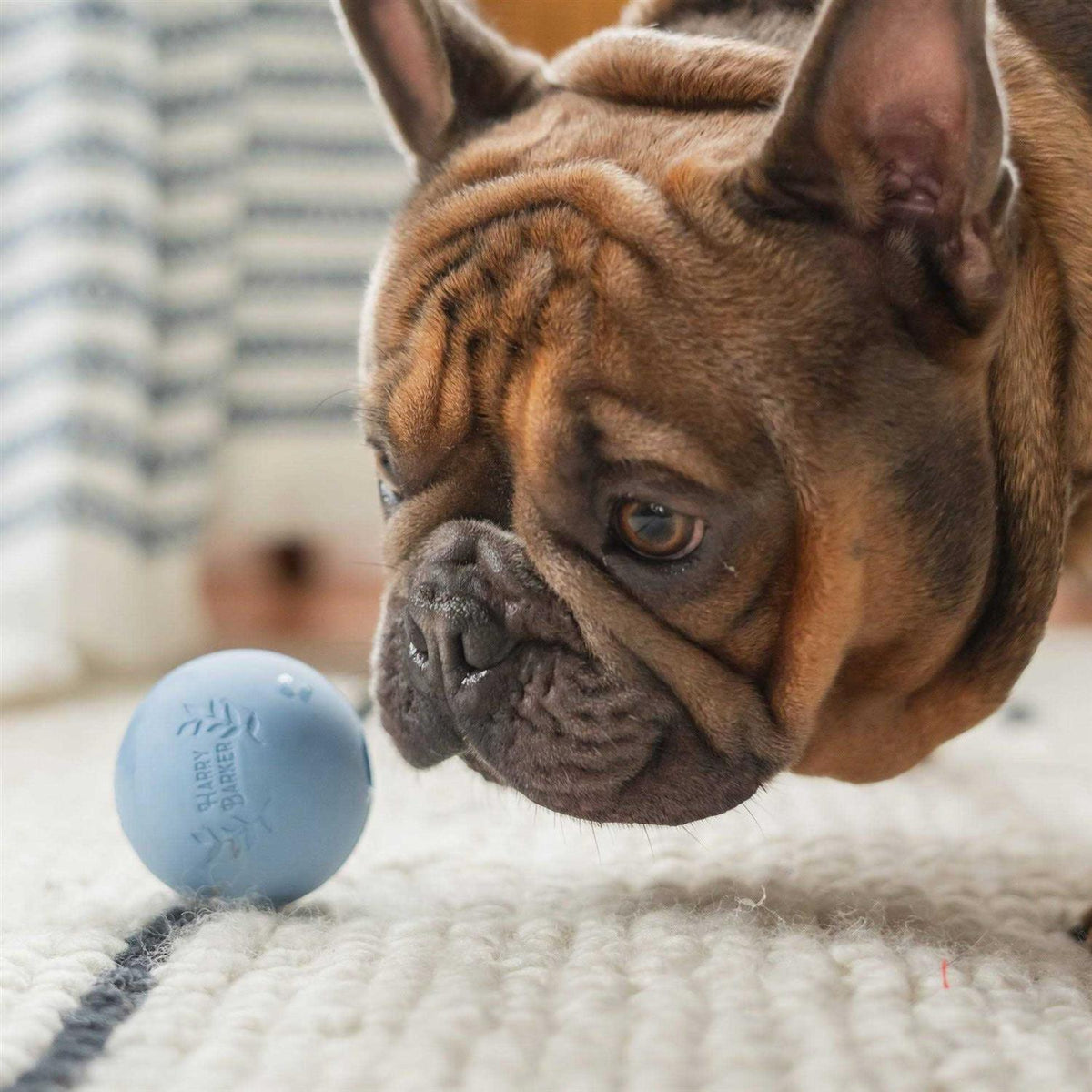 Rubber Balls and Chew Stick S84462