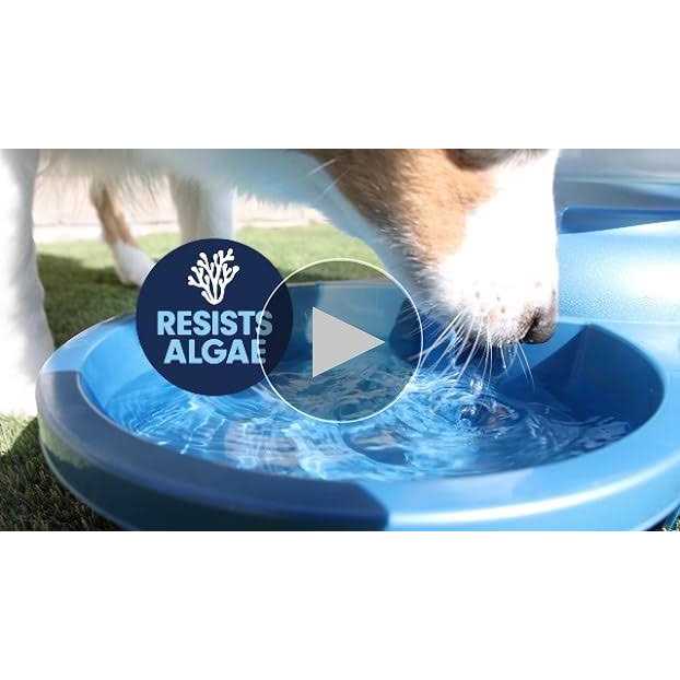 Outdoor Water Bowl V48537