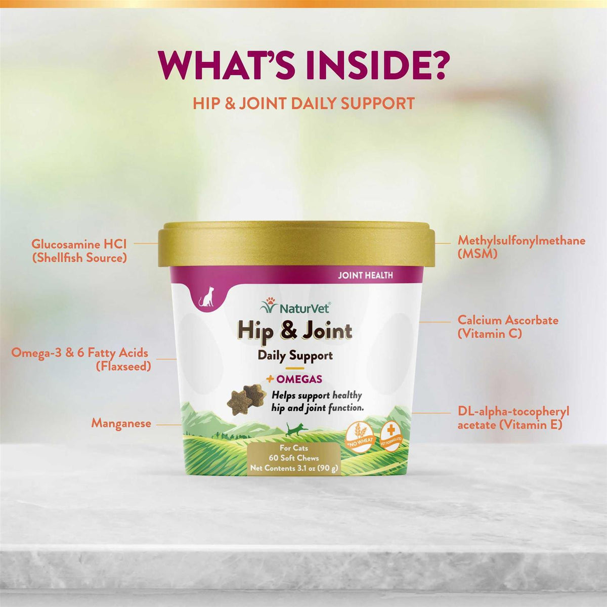 Hip Joint Plus Omegas Soft Chews Cat Supplement T9676