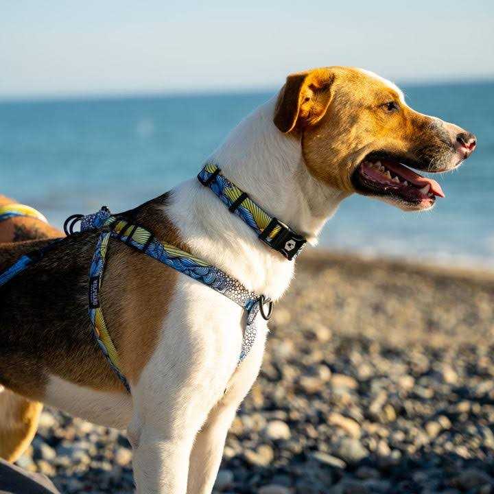 No-Pull Dog Harness A8941
