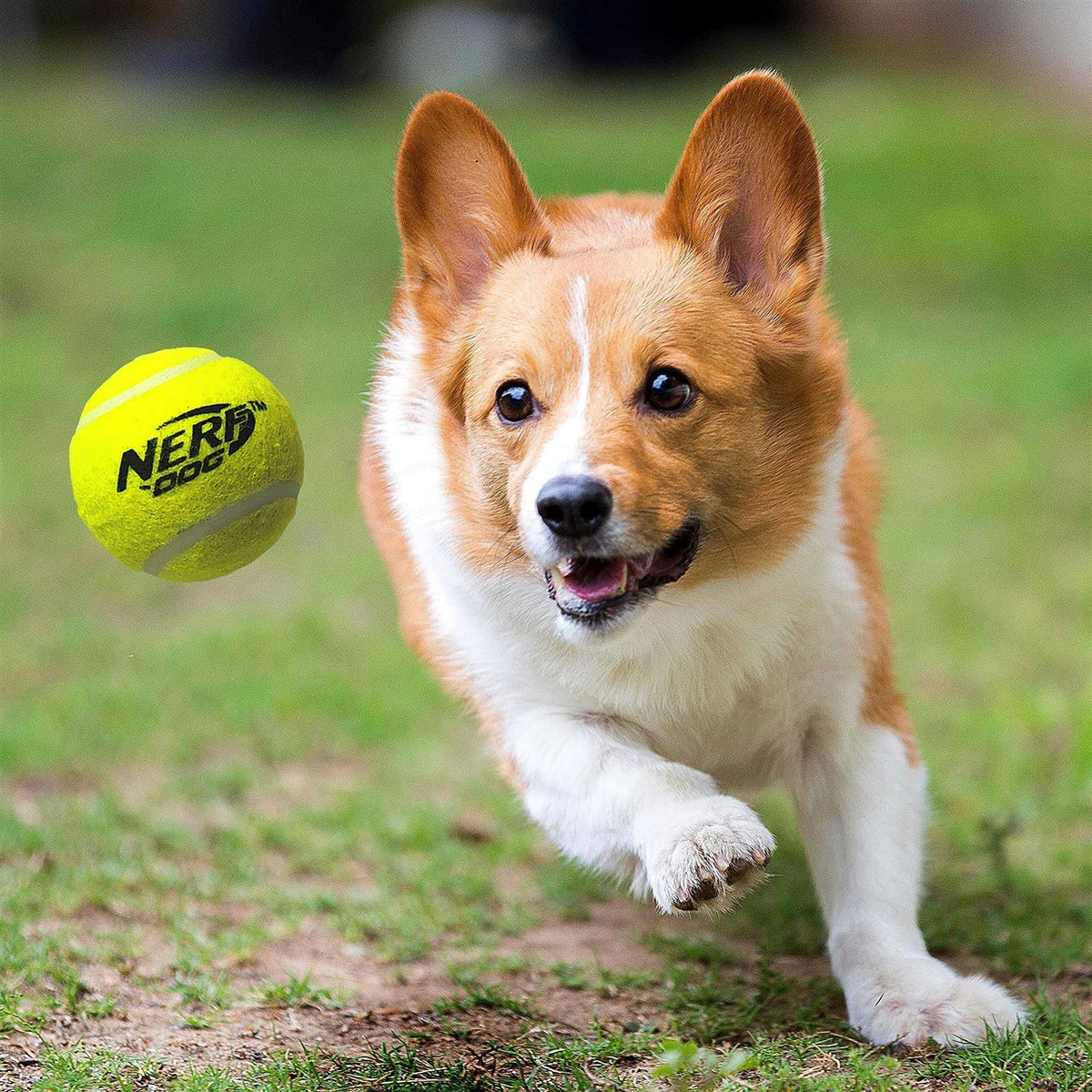 Tennis Ball Dog Toy V906