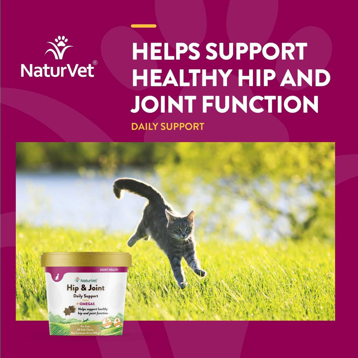 Hip Joint Plus Omegas Soft Chews Cat Supplement T9676