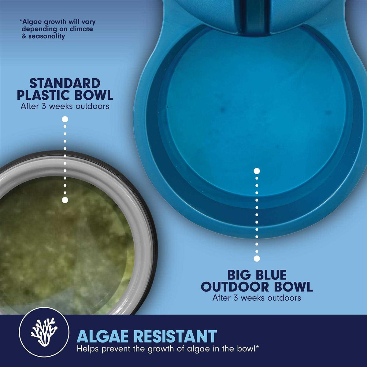 Outdoor Water Bowl V48537