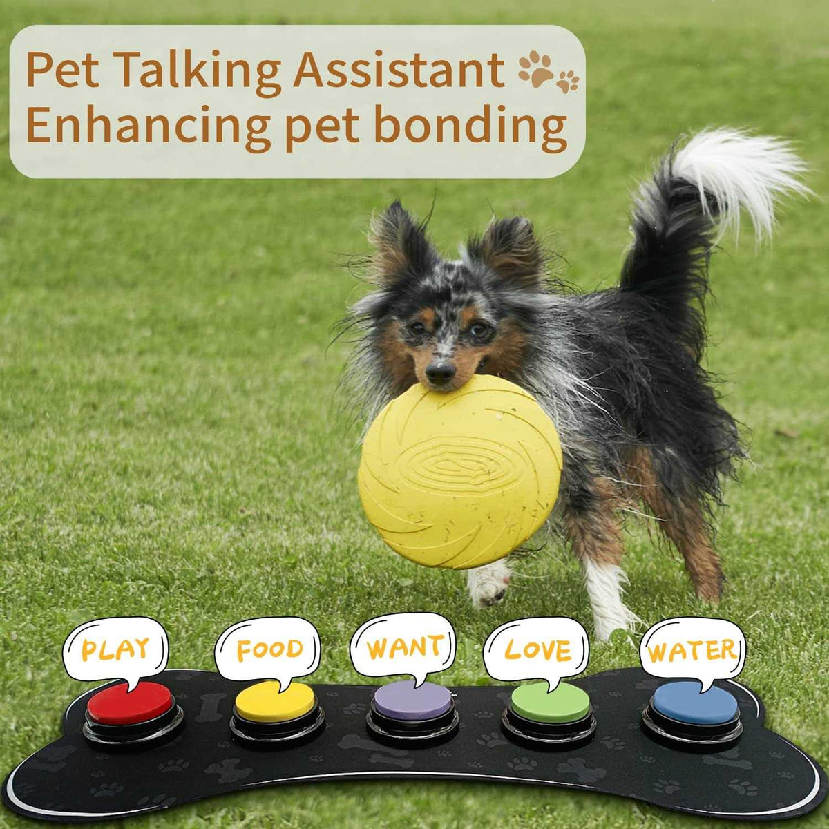 Set of 5 Dog Buttons with Rubber Mat P691