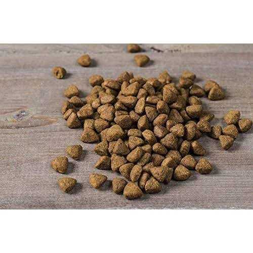 Chicken Oats & Turkey Dry Puppy Food G6672