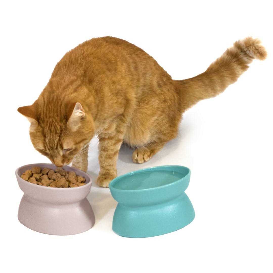 Raised Cat Food Bowl and Waterer P7469