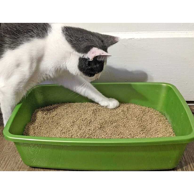 Clumping Cat Litter N767284