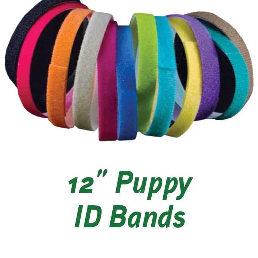 Puppy ID Bands M509