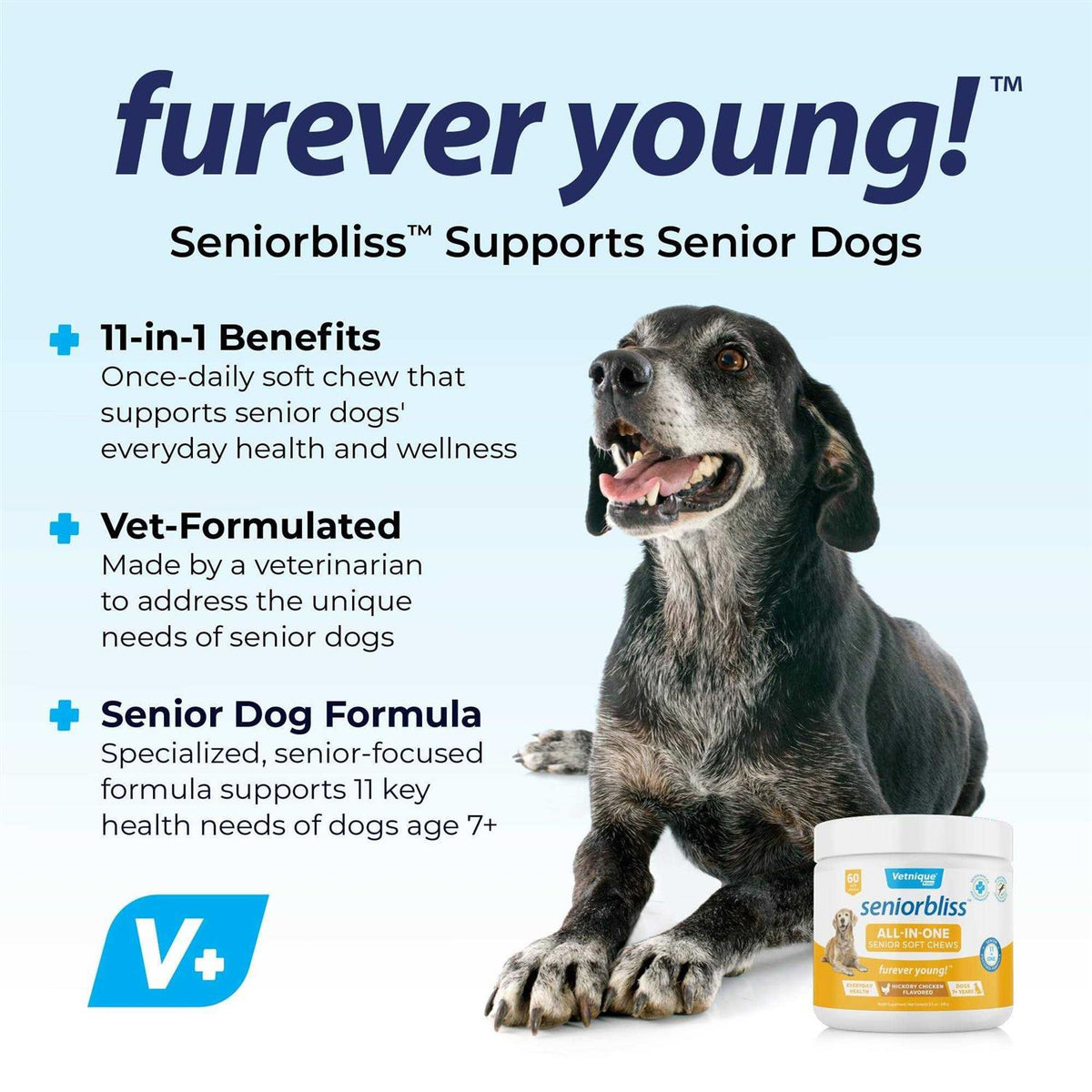 Supplement for Senior Dogs R8171